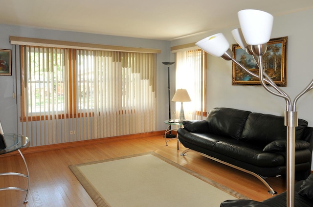 living room featuring wood finished floors