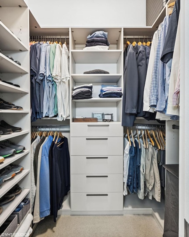 spacious closet featuring light carpet