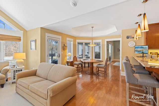 living room with a wealth of natural light, baseboards, a tray ceiling, and wood finished floors