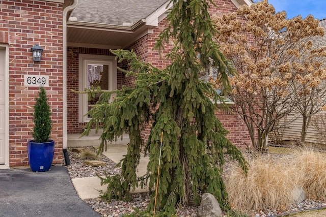 doorway to property with roof with shingles and brick siding