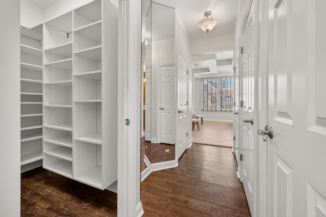 spacious closet featuring dark wood-type flooring