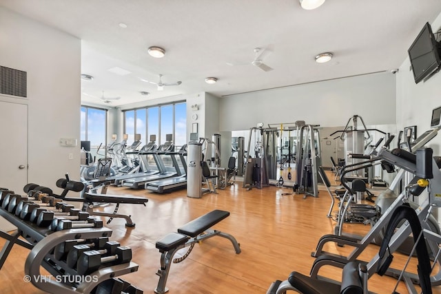 exercise room featuring ceiling fan, a wall of windows, and light wood-style floors