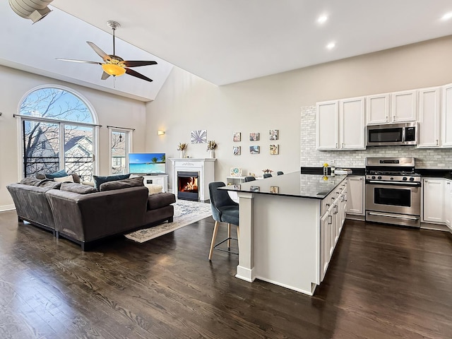 kitchen featuring dark countertops, a warm lit fireplace, tasteful backsplash, and stainless steel appliances