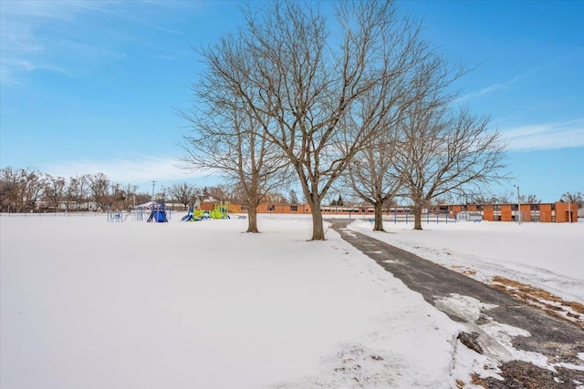 view of snowy yard