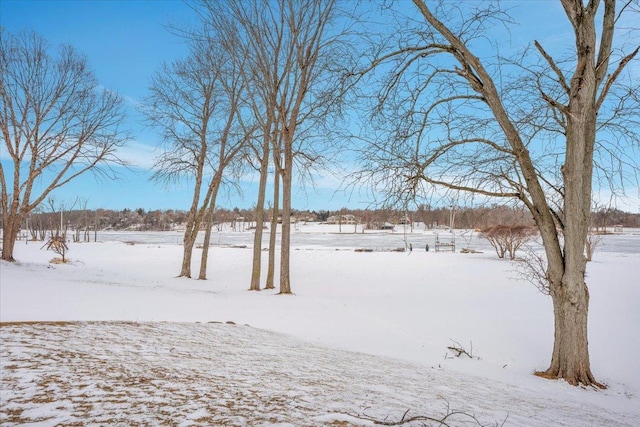 view of yard layered in snow