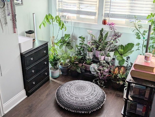 interior space featuring a wealth of natural light, dark wood-style flooring, and baseboards