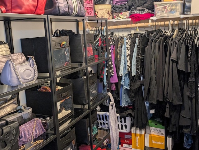 view of spacious closet