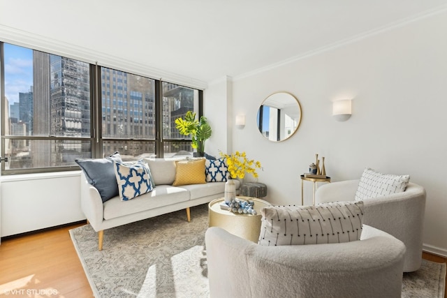 living area featuring ornamental molding, a city view, plenty of natural light, and light wood finished floors