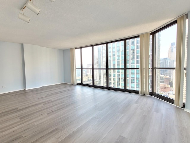 spare room featuring floor to ceiling windows, plenty of natural light, and wood finished floors