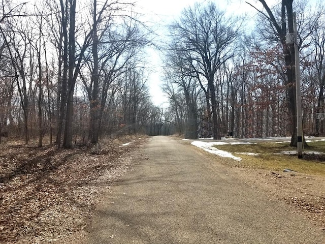 Listing photo 3 for LOT1750 Sunflower Ct, Varna IL 61375