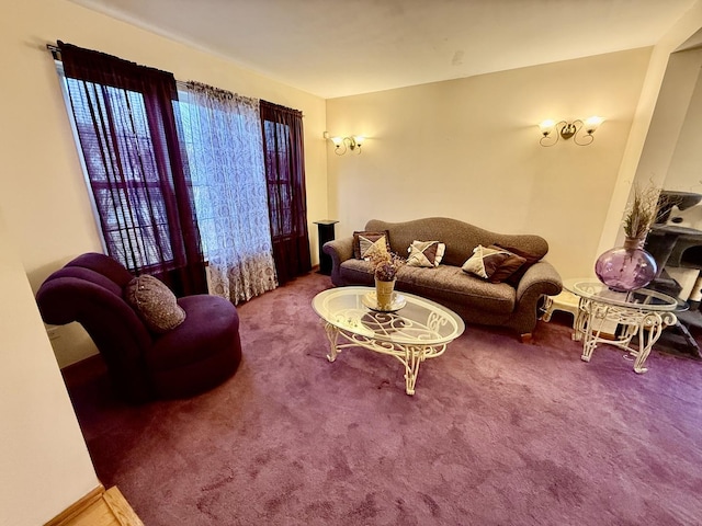 living area featuring carpet floors