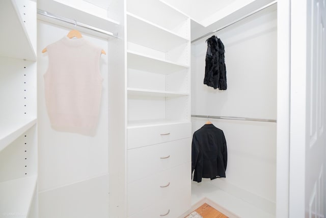 view of closet