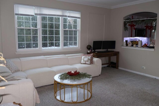 living area with carpet, baseboards, and crown molding