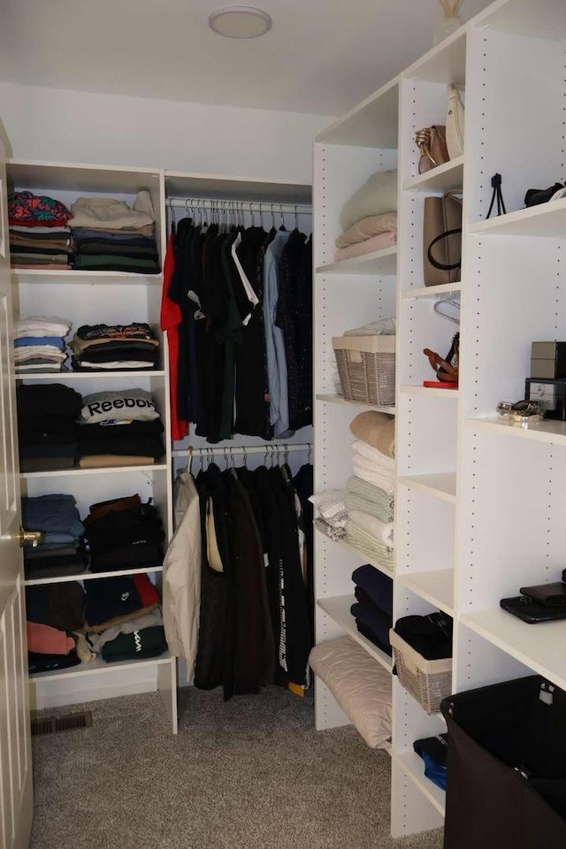 spacious closet featuring carpet