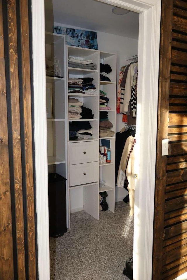 walk in closet featuring carpet flooring