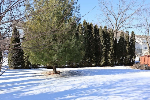 view of snowy yard