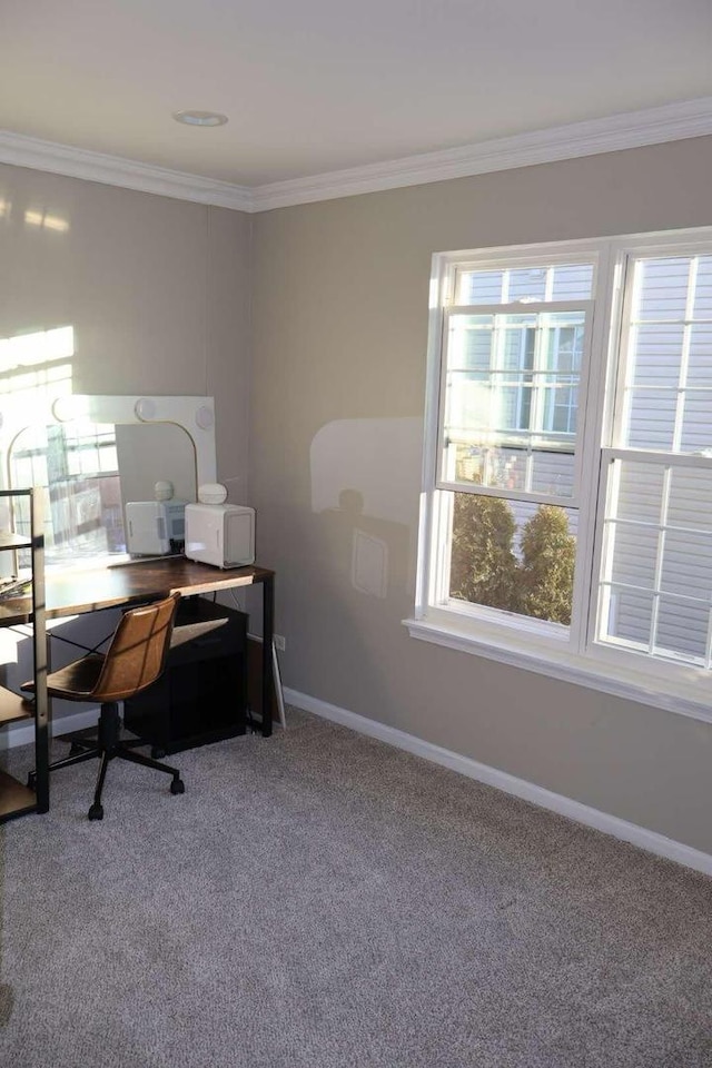 office space with ornamental molding, carpet floors, and baseboards