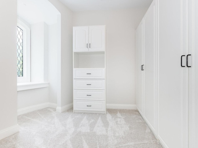 spacious closet with light colored carpet