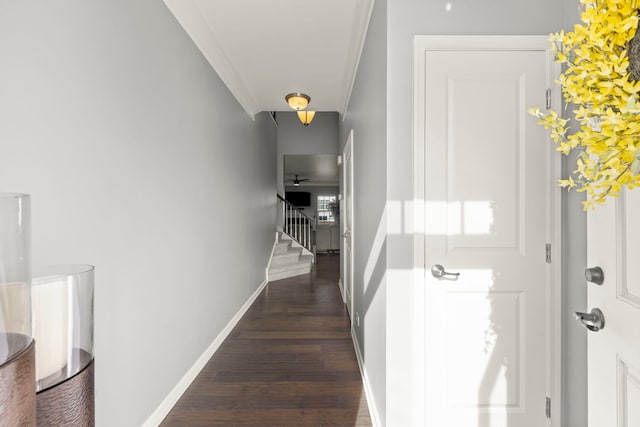 hallway featuring crown molding, stairs, baseboards, and dark wood-type flooring