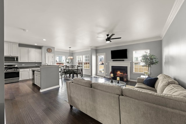 living room with crown molding, a healthy amount of sunlight, dark wood finished floors, and baseboards