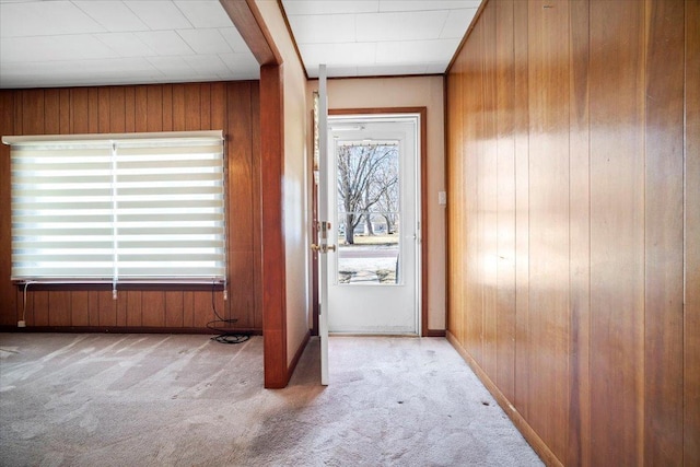 interior space with baseboards, carpet, and wood walls