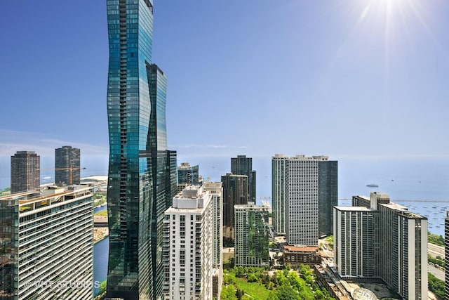 225 N Columbus Dr Unit 5610, Chicago, IL 60601 - city view with a large body of water