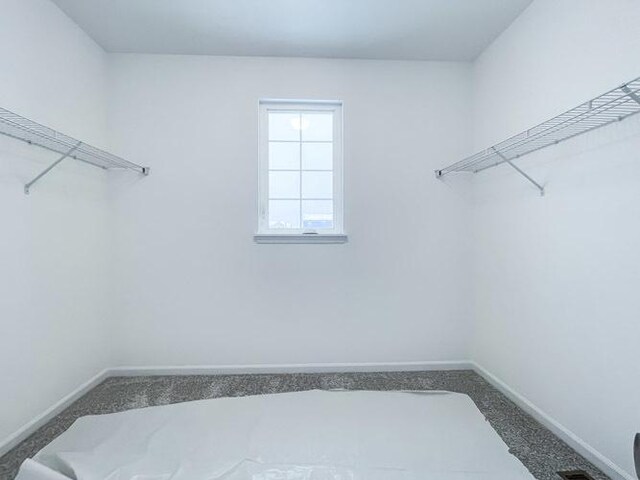 1571 Glenbrooke Ln, New Lenox, IL 60451 - view of walk in closet