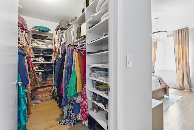 walk in closet featuring a chandelier and wood finished floors