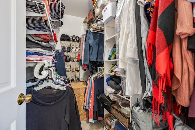 walk in closet with carpet