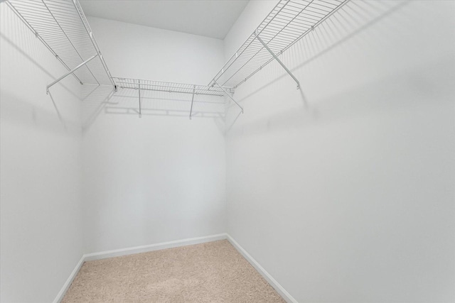 1121 Girard Ave, Des Plaines, IL 60018 - spacious closet featuring light carpet