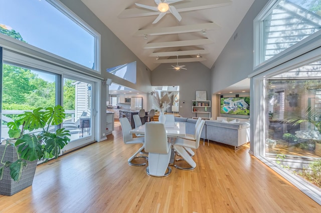 dining room featuring a ceiling fan, beam ceiling, high vaulted ceiling, and light wood finished floors