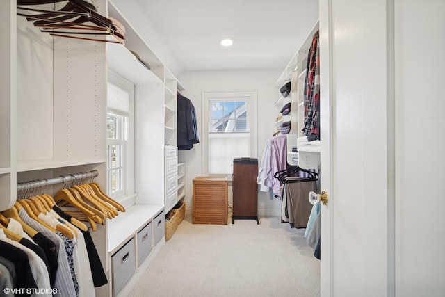 walk in closet with carpet flooring