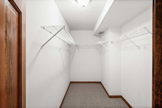 walk in closet featuring visible vents and carpet flooring