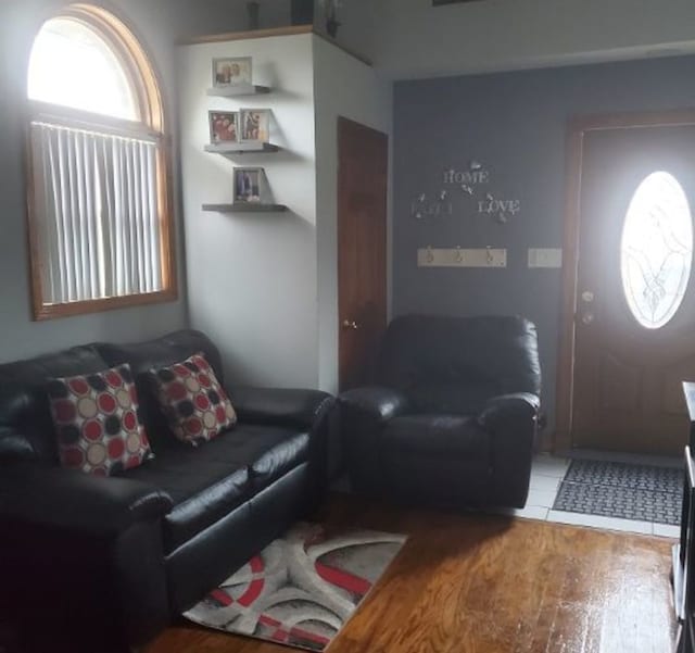 living area featuring wood finished floors