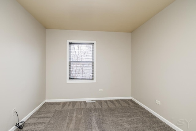 303 Merrill Ave, Calumet City, IL 60409 - photo 22
