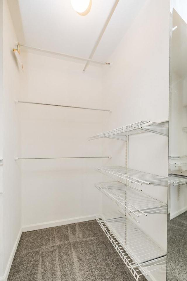 spacious closet with carpet floors