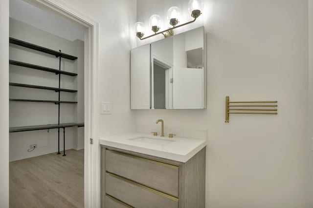 bathroom featuring wood finished floors and vanity