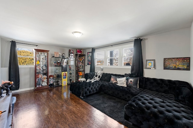 living area featuring wood finished floors