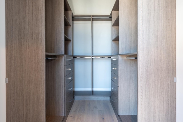 walk in closet featuring light wood-style flooring