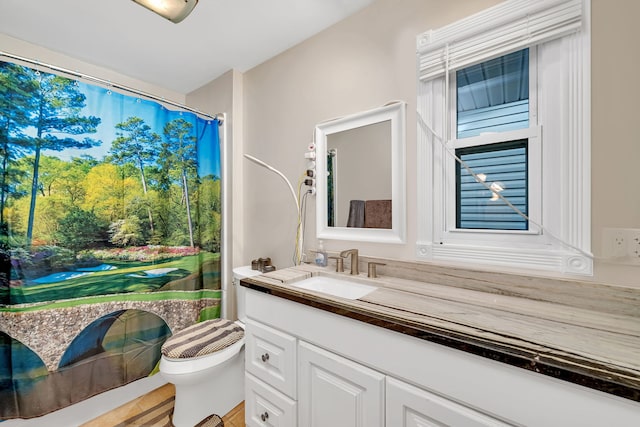 bathroom with toilet and vanity