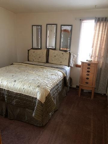 bedroom featuring dark colored carpet