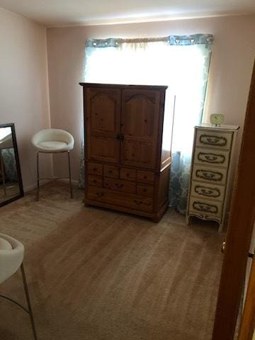 sitting room with carpet and a healthy amount of sunlight