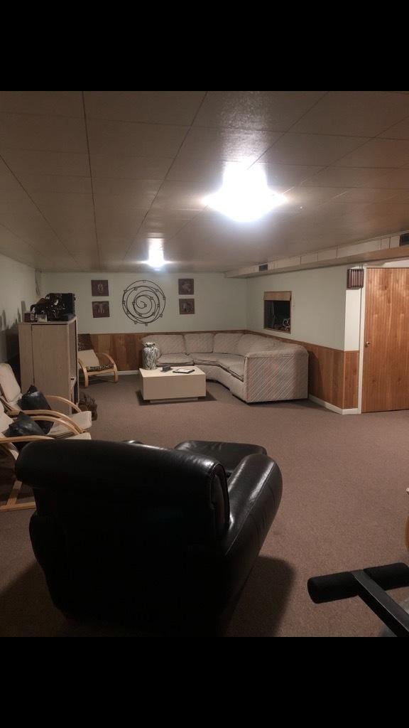 carpeted living room with a wainscoted wall and wooden walls