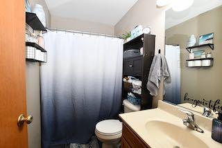 bathroom featuring toilet, a shower with curtain, and vanity