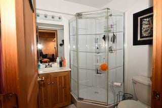 bathroom featuring toilet, a stall shower, and vanity