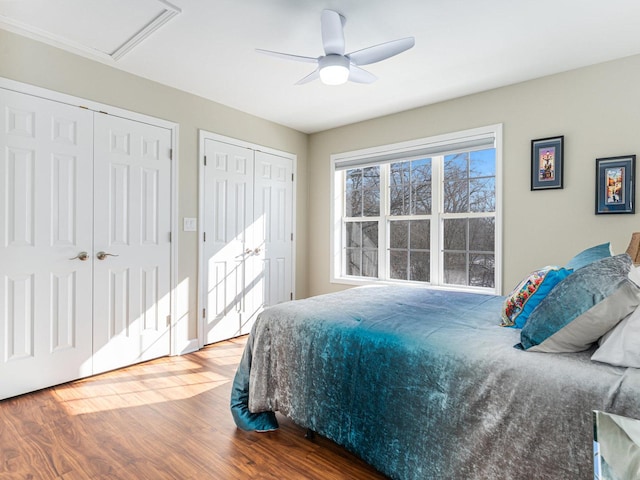 bedroom featuring a ceiling fan, multiple closets, and wood finished floors