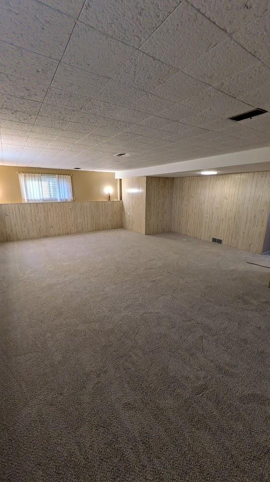 basement with wainscoting, carpet flooring, and wooden walls