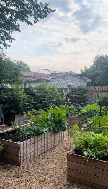 view of yard with a garden