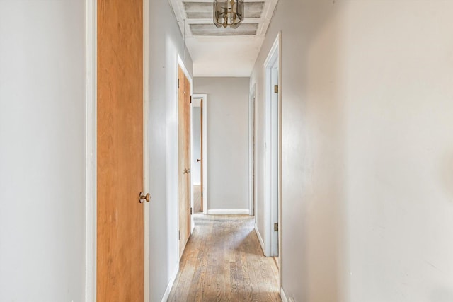 hall with hardwood / wood-style flooring and baseboards