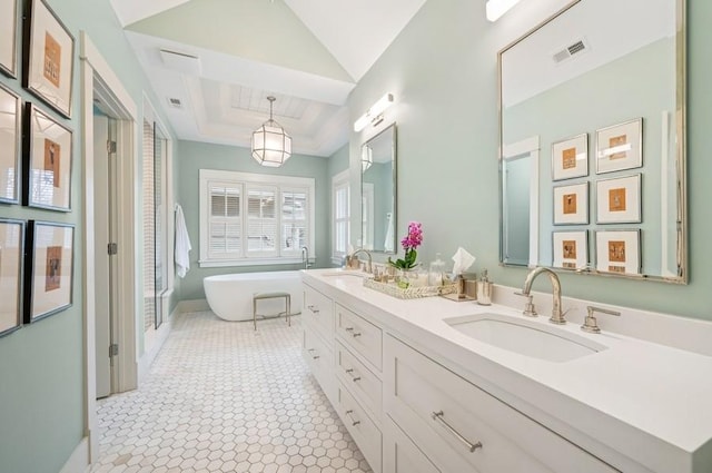 bathroom with a freestanding bath, visible vents, a raised ceiling, and a sink